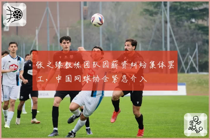 张之臻教练团队因薪资纠纷集体罢工，中国网球协会紧急介入