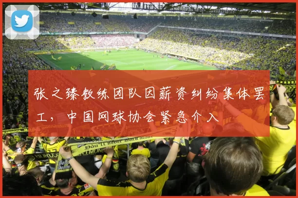 张之臻教练团队因薪资纠纷集体罢工，中国网球协会紧急介入