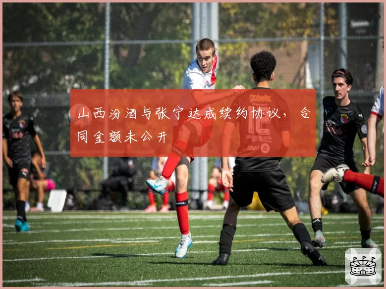 山西汾酒与张宁达成续约协议，合同金额未公开