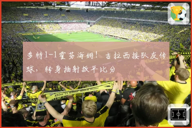 多特1-1霍芬海姆！吉拉西接队友传球，转身抽射扳平比分
