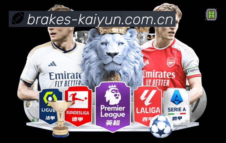 结构优化认证展示